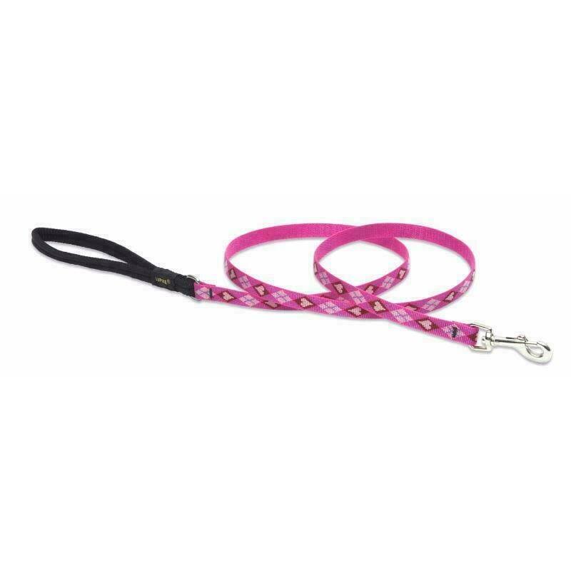 Lupine Puppy Love Padded Handle Dog Leash - 4ft