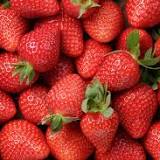 FDA investigating hepatitis A outbreak possibly linked to fresh strawberries