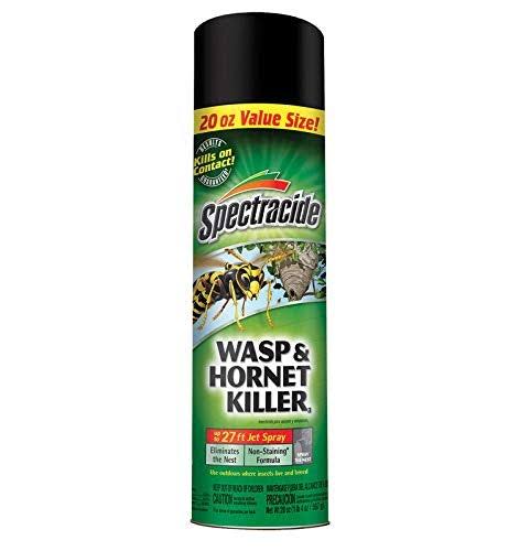 Spectracide Wasp & Hornet Killer