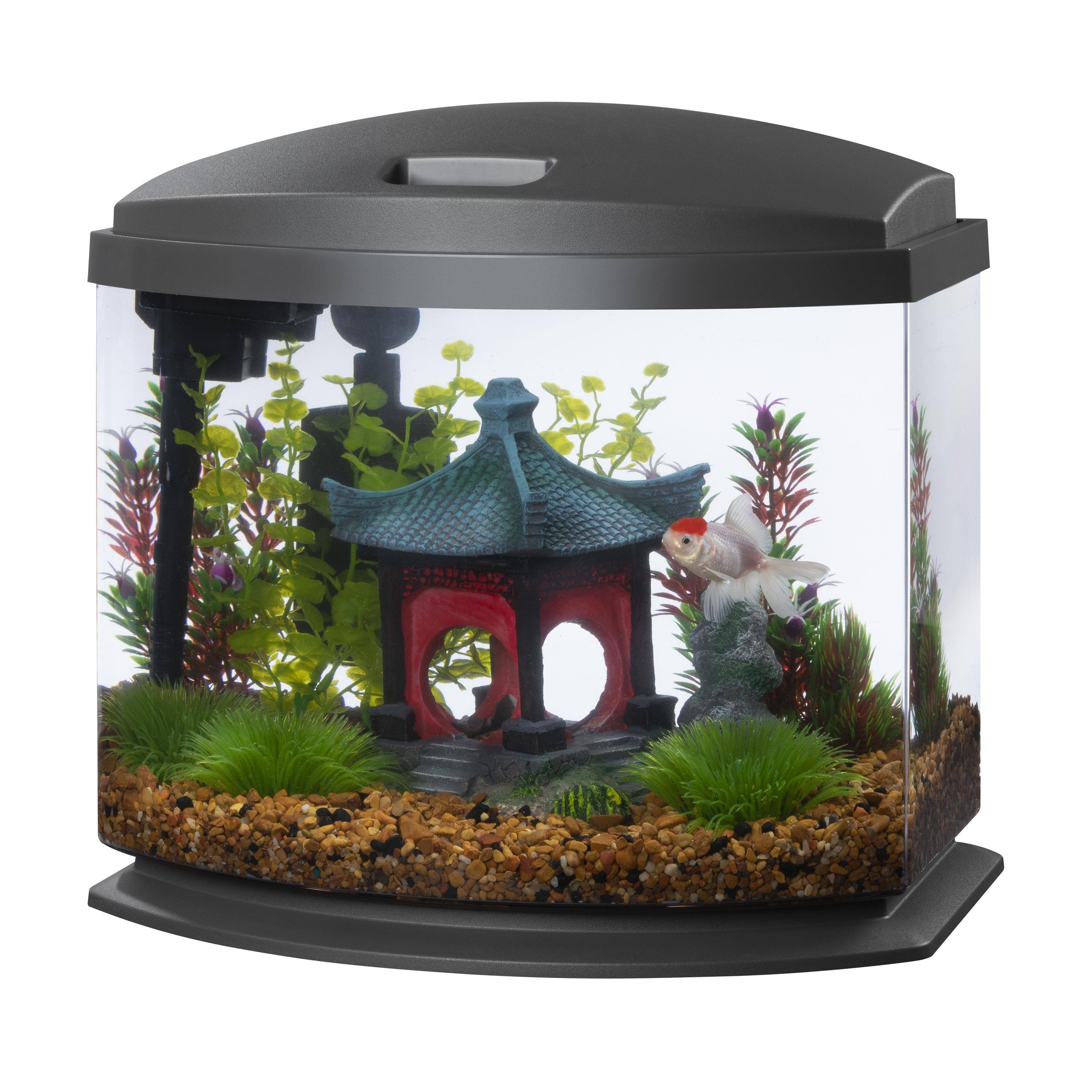 Aqueon LED MiniBow 5 SmartClean Aquarium Kit Gray - 5 Gallon