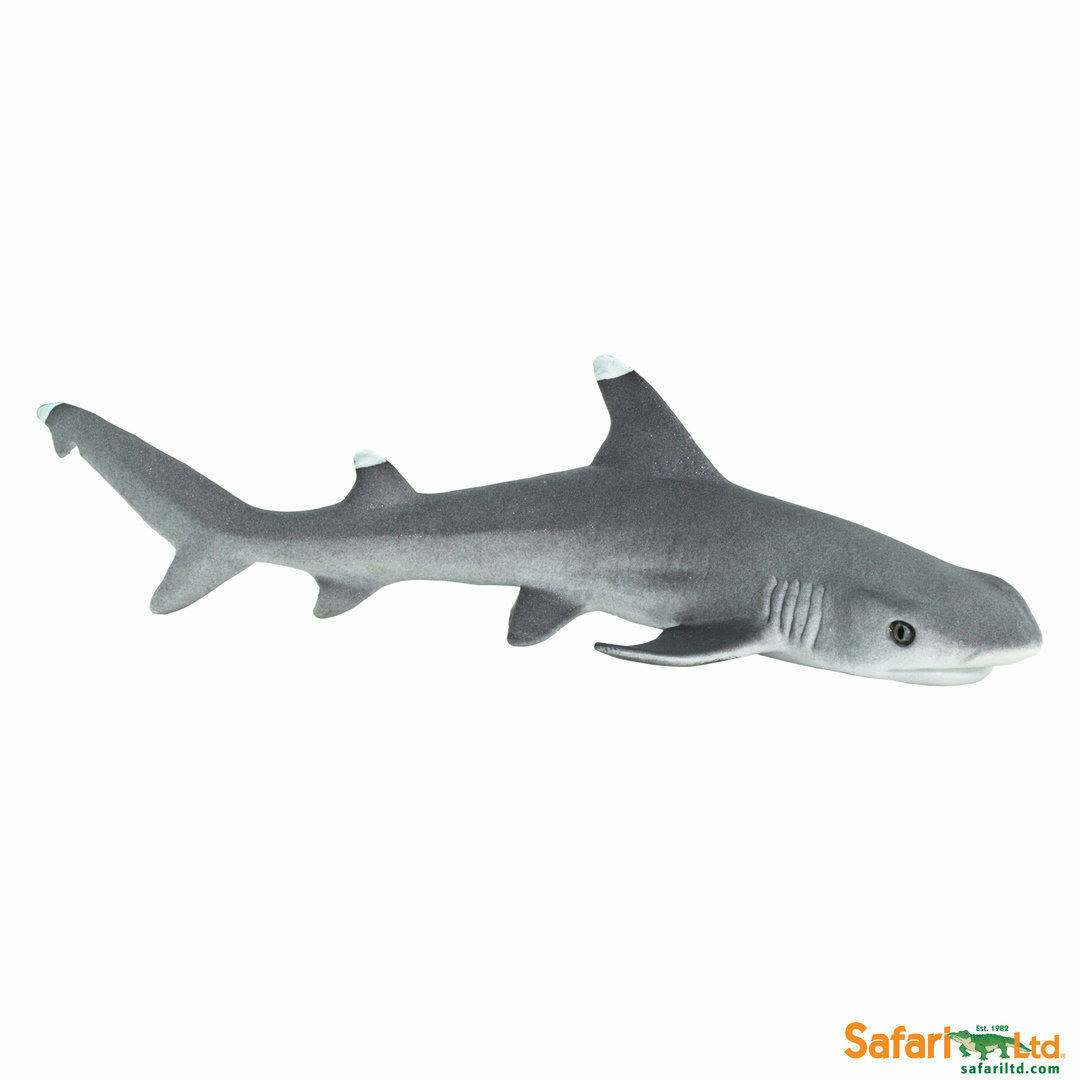 Safari Whitetip Reef Shark Replica