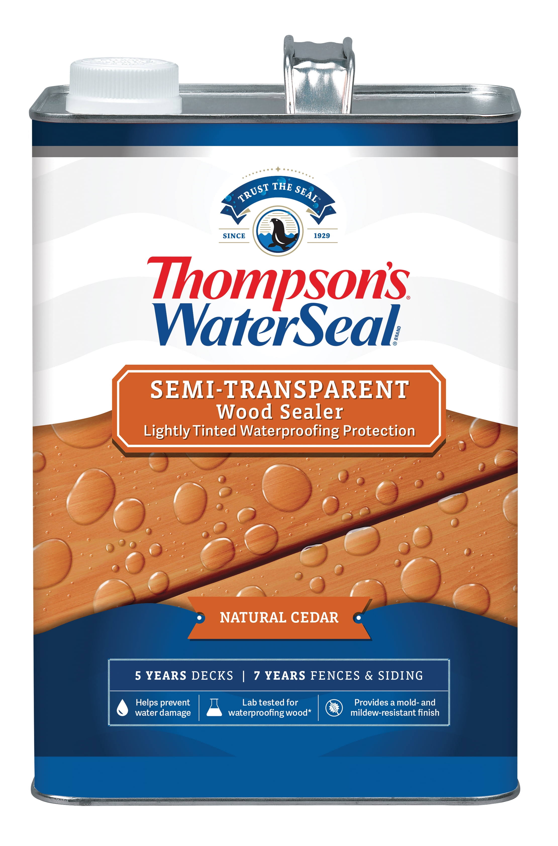 Thompson's Waterseal Semi-Transparent Wood Sealer, Natural Cedar, 1 Gallon