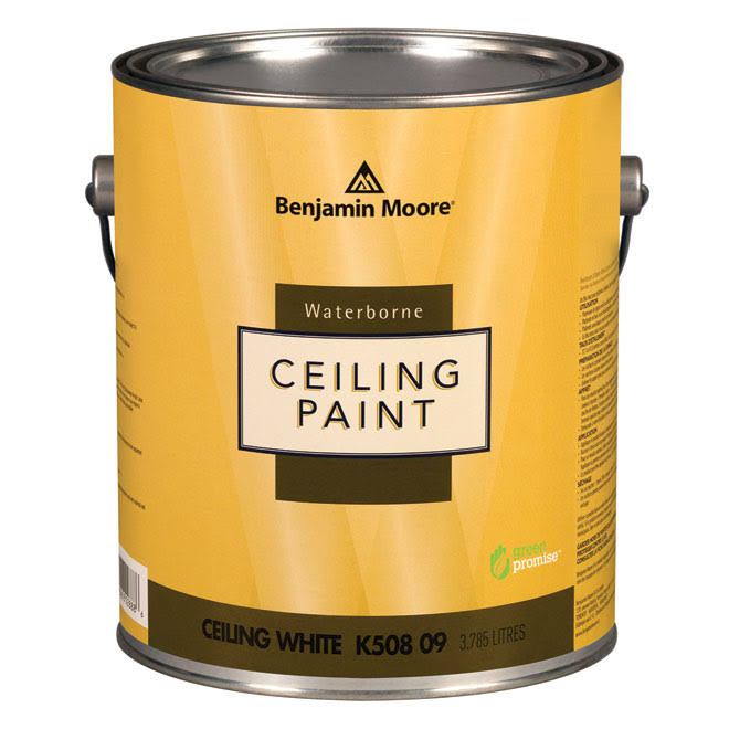 Benjamin Moore Waterborne Ceiling Paint - Flat - 3.79 L K50809-001