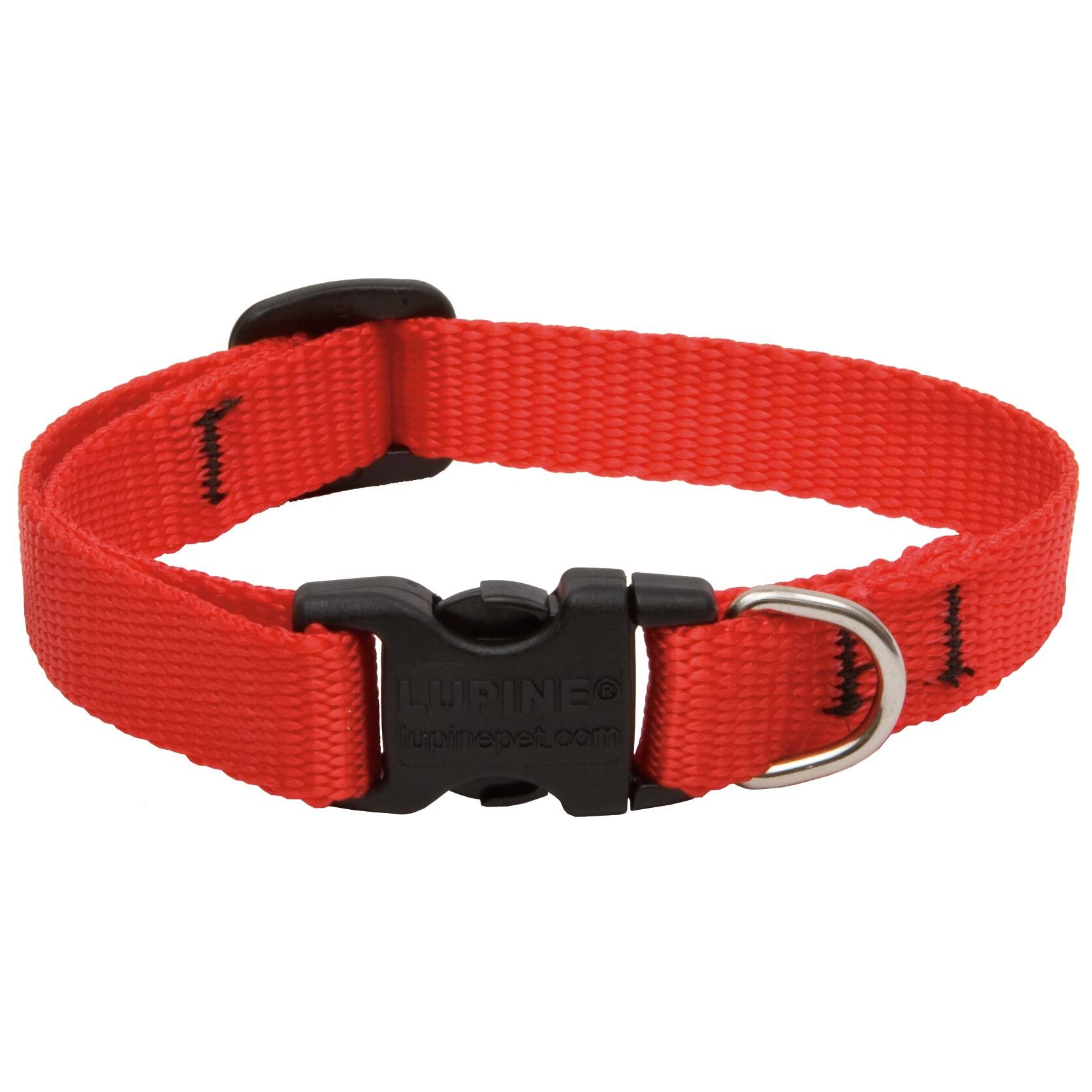 Lupine Adjustable Dog Collar - 1/2 x 8-12 in