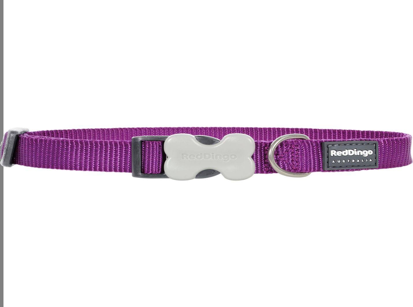 Red Dingo Bucklebone Classic Dog Collars - Purple, 15mm, 24-36cm