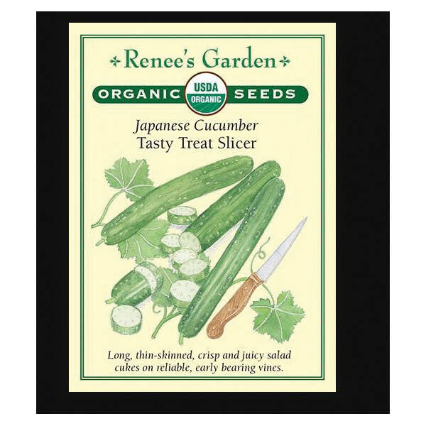 Cucumber Tasty Treat Slicer Vegetable Seed Pack