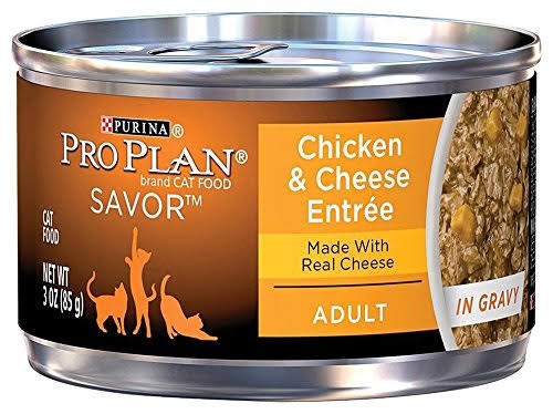 Pro Plan Savor Entree in Gravy Canned Cat Food - Chicken and Cheese, 3oz