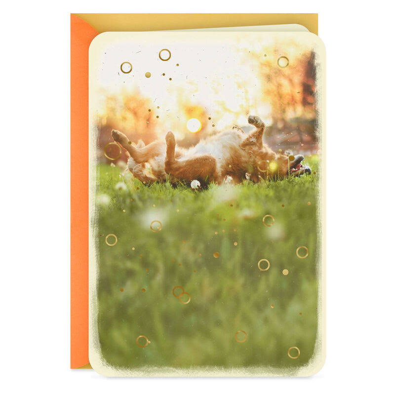 Hallmark Thinking of You Card, Dog Rolling in The Grass Blank Card