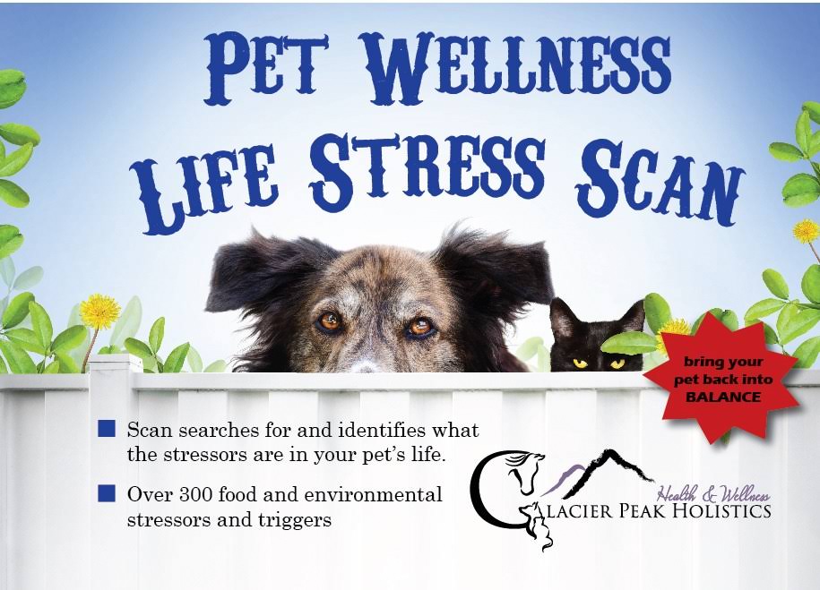 Glacier Peak Holistics 3724 Pet Wellness Life Stress Scan