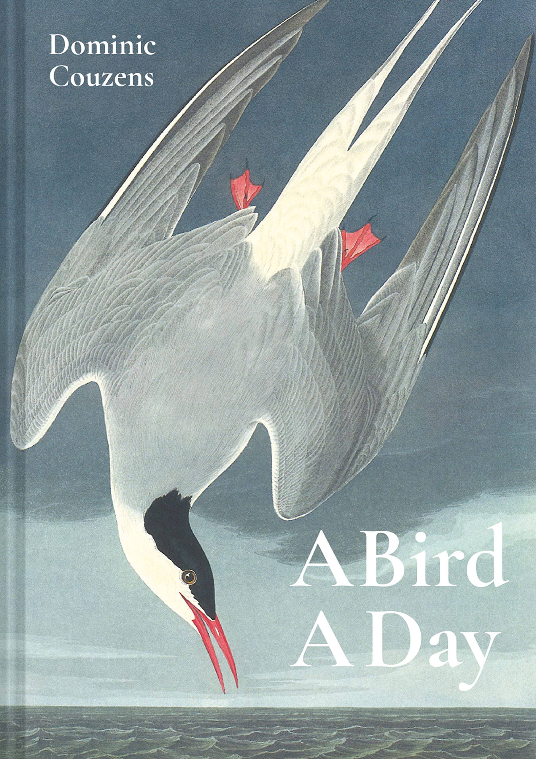 A Bird A Day [Book]