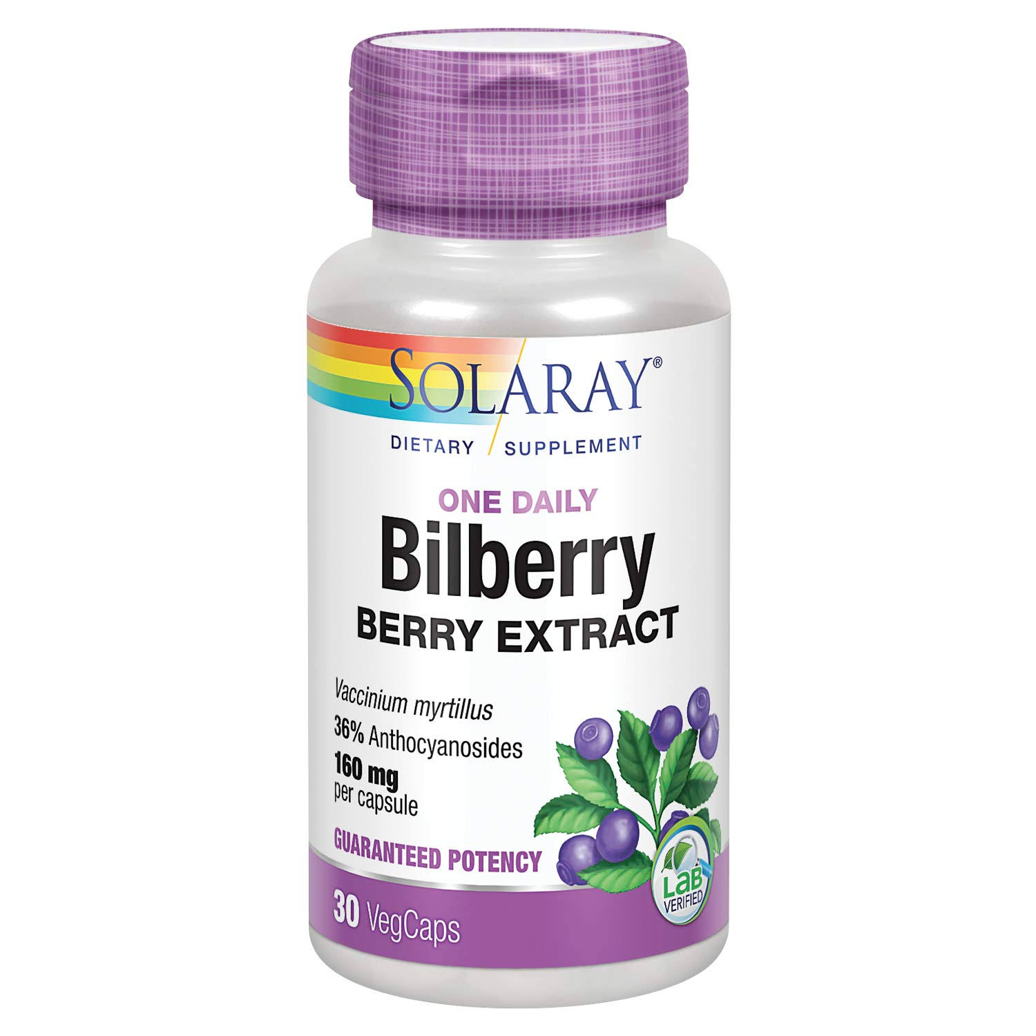 Solaray Bilberry One Daily Extract Dietary Supplement - 160mg, 30ct