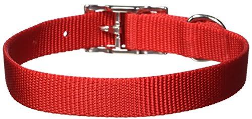 Coastal Pet 00601 B RED16 .75 x 16 in. Nylon Dog Collar Red