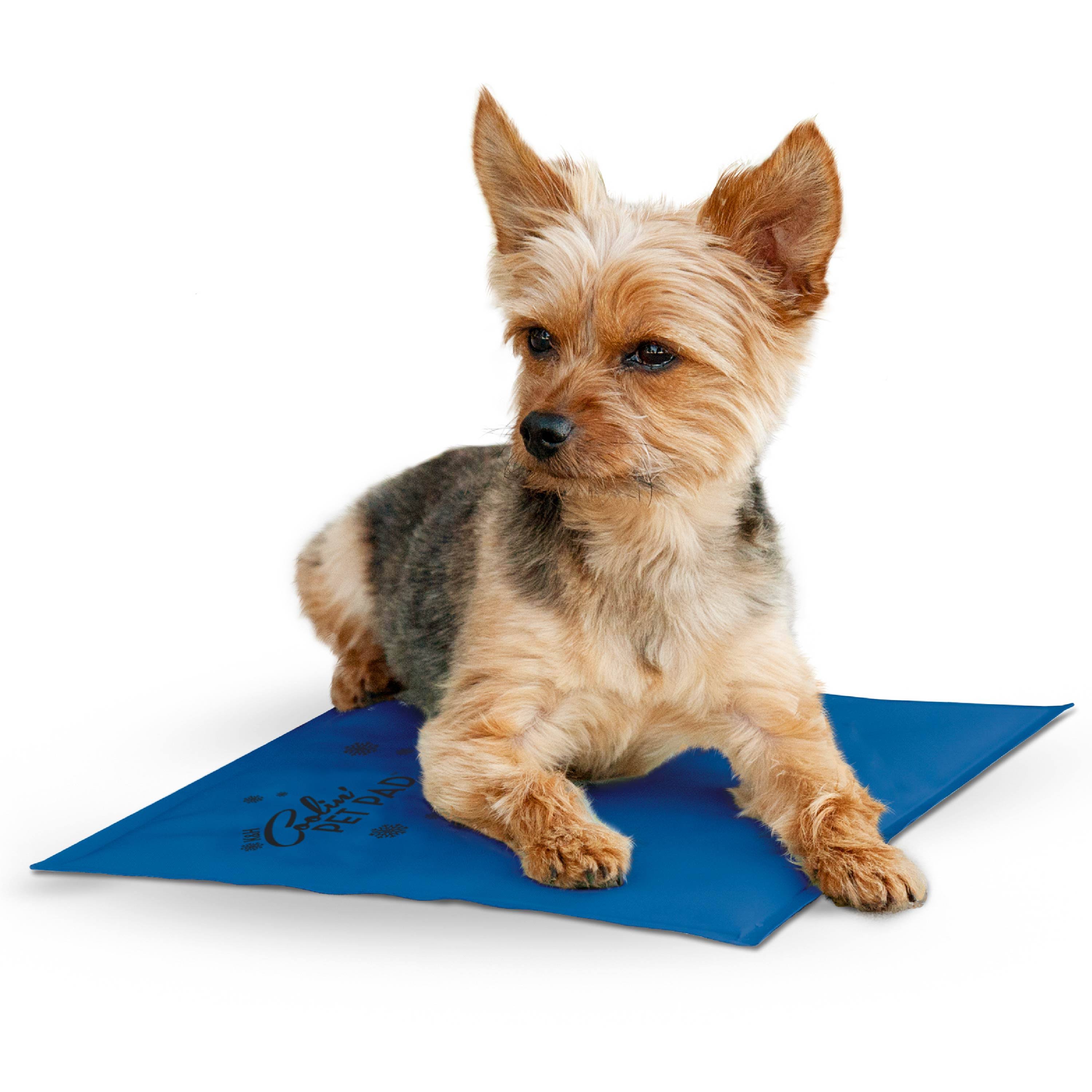 K&H Coolin' Pet Pad for Dog, Small Blue Small 11 x 15 Inches