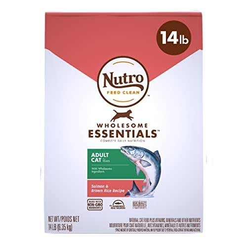 Nutro Wholesome Essentials Dry Cat Food - Salmon and Whole Brown Rice, 14lbs