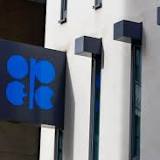 Acting Kuwaiti oil minister: OPEC  works to serve the global economy not threaten it