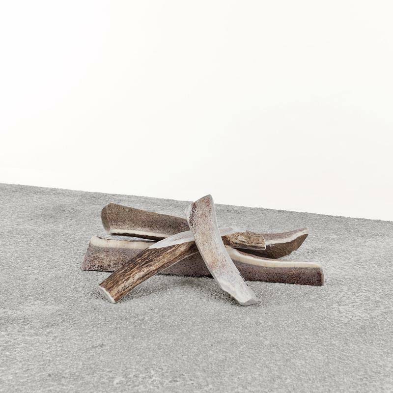 Primal Stag Antler Dog Chew, Large