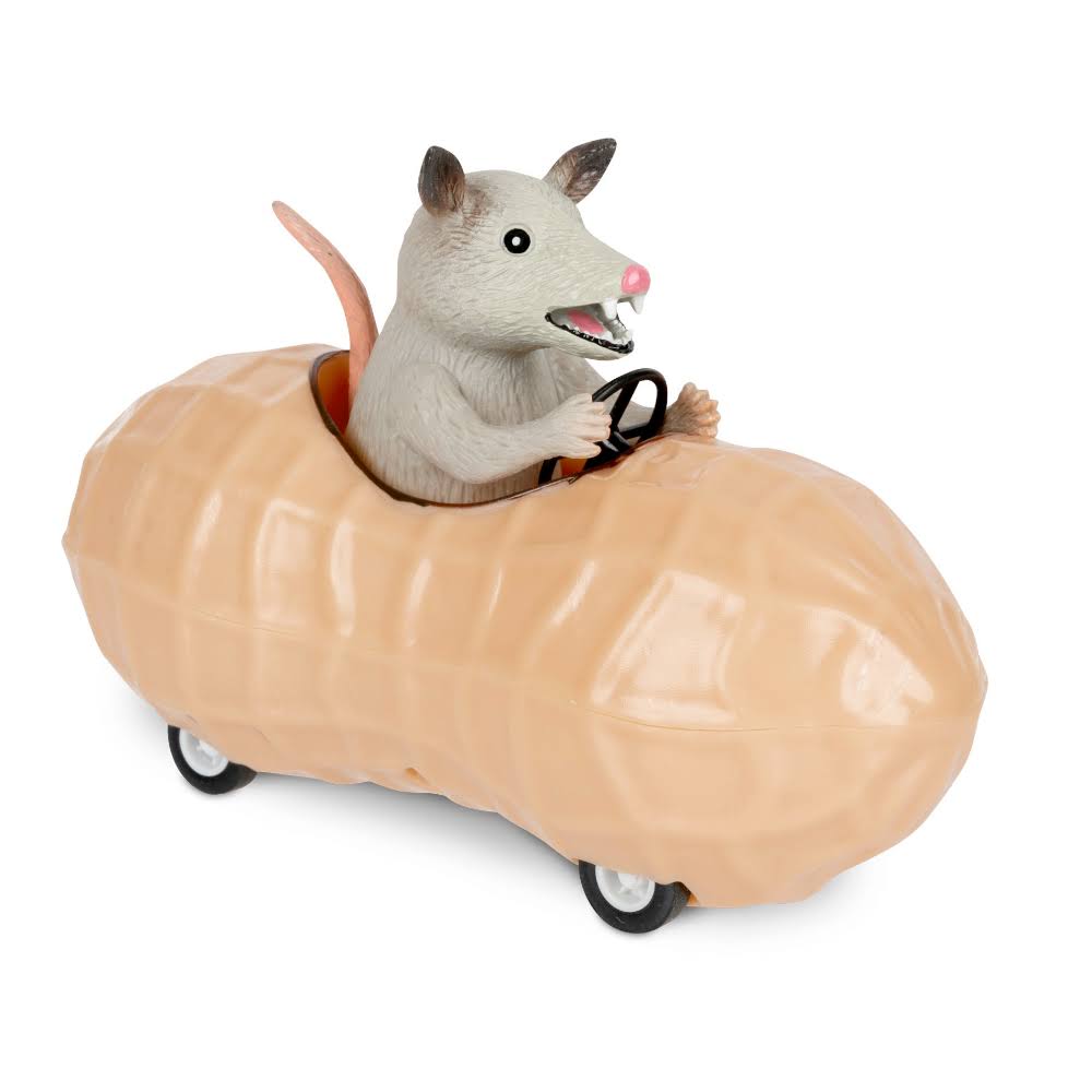Possum in A Peanut