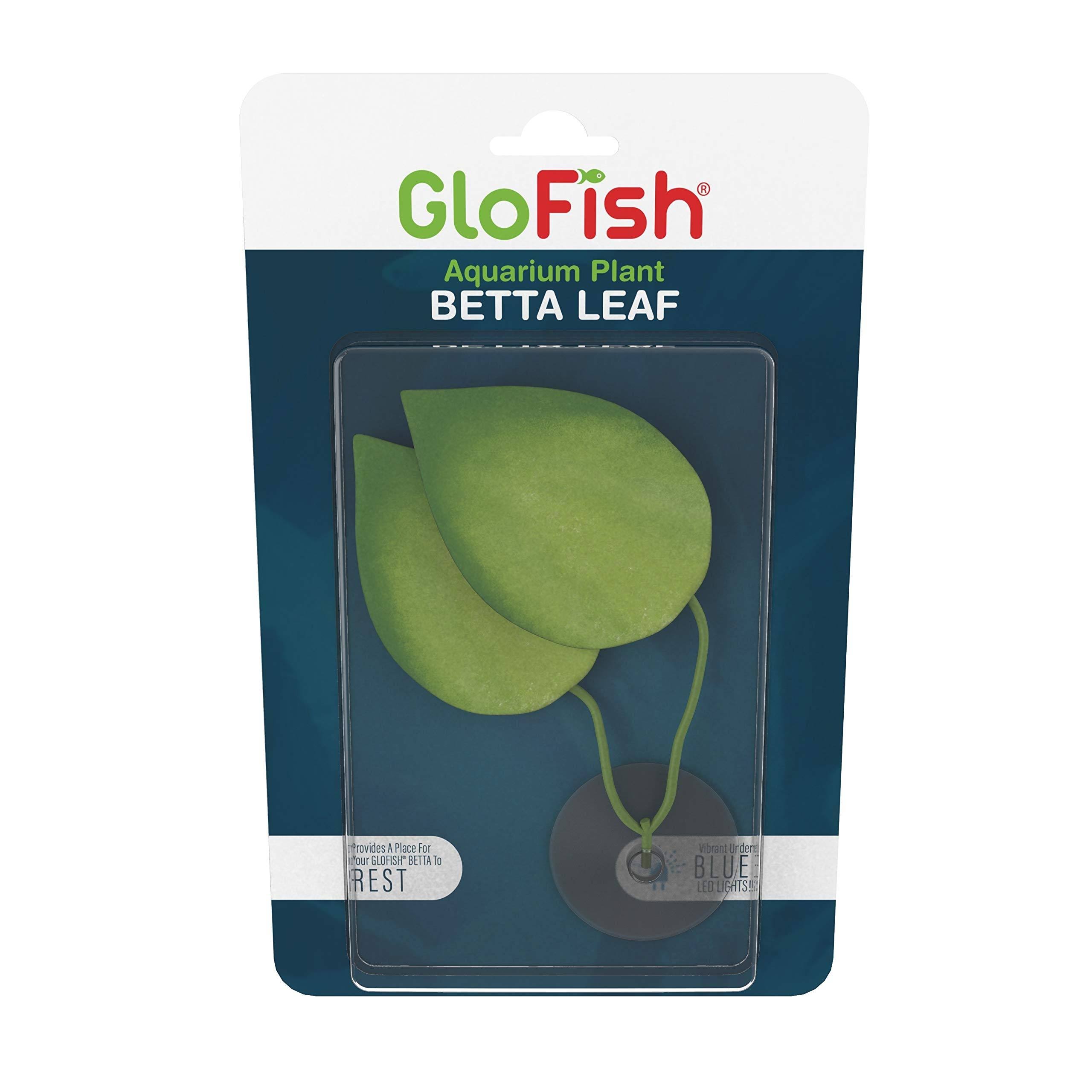 Tetra GloFish Betta Leaf