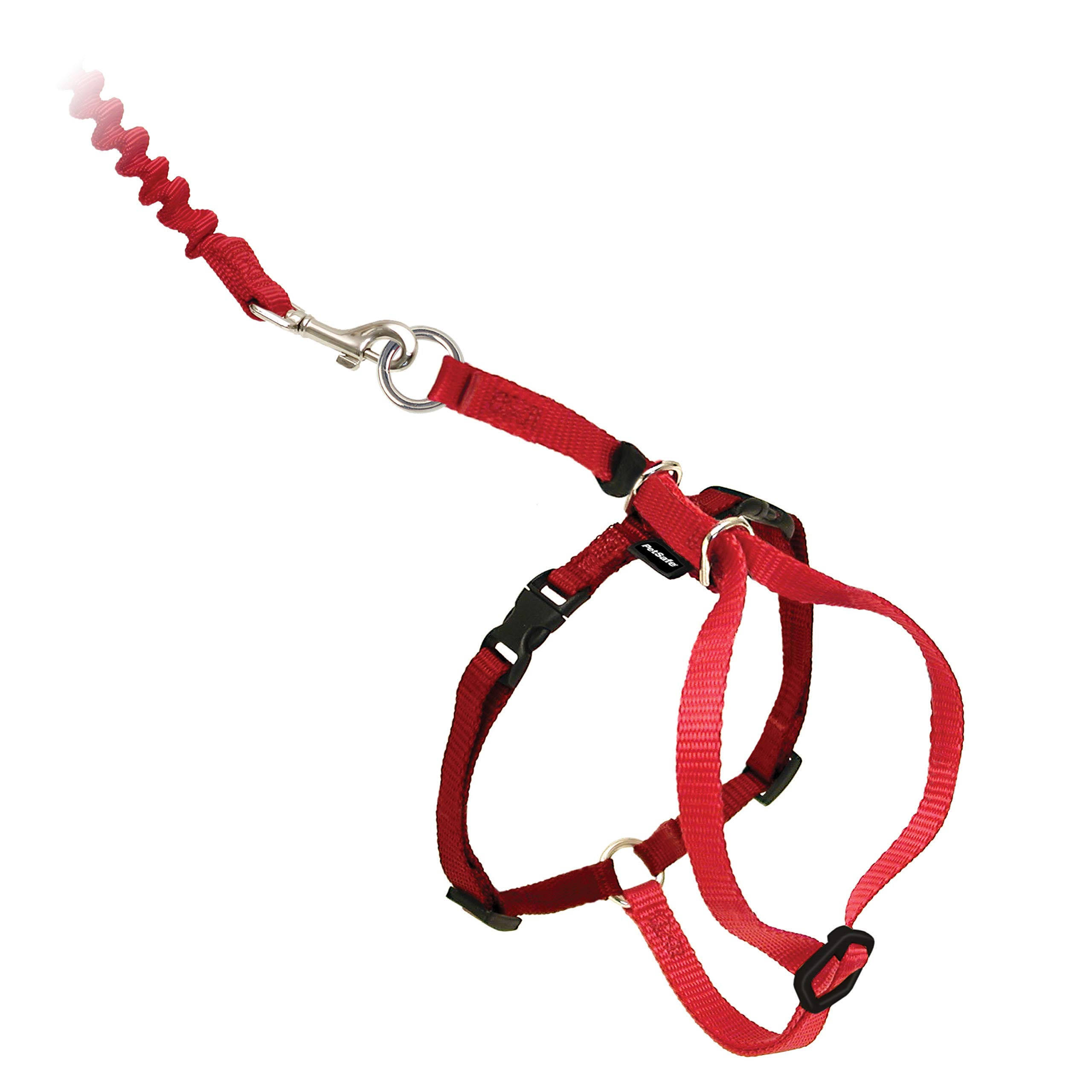 Come With Me Kitty Harness & Bungee Leash - Red, Medium