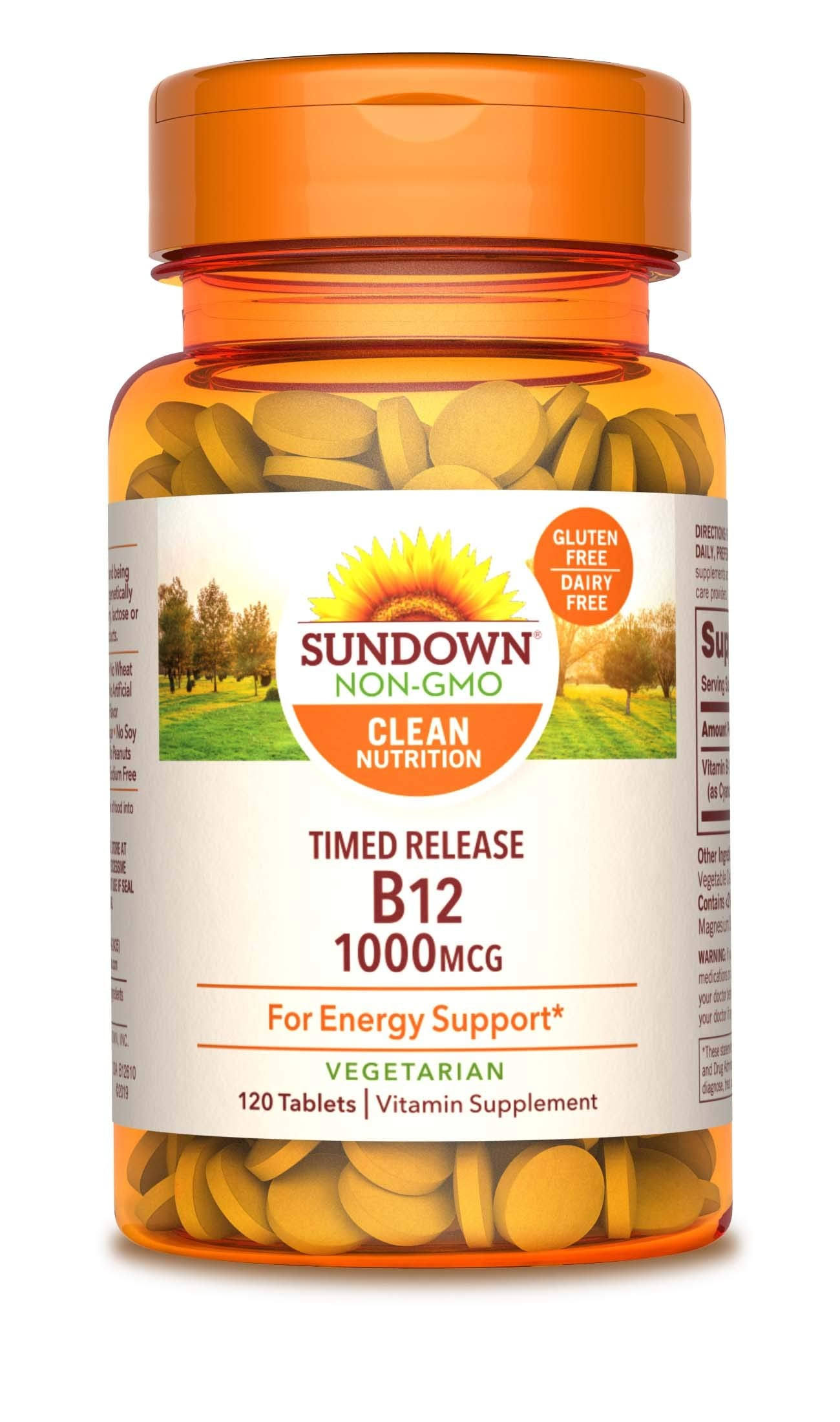 Sundown Naturals High Potency B12 Supplement - 1000mcg, 120ct