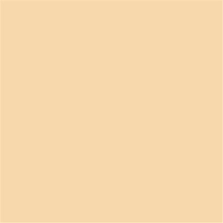 Superior Specialties Photography Backdrop Photographic Paper, Beige (101225C)