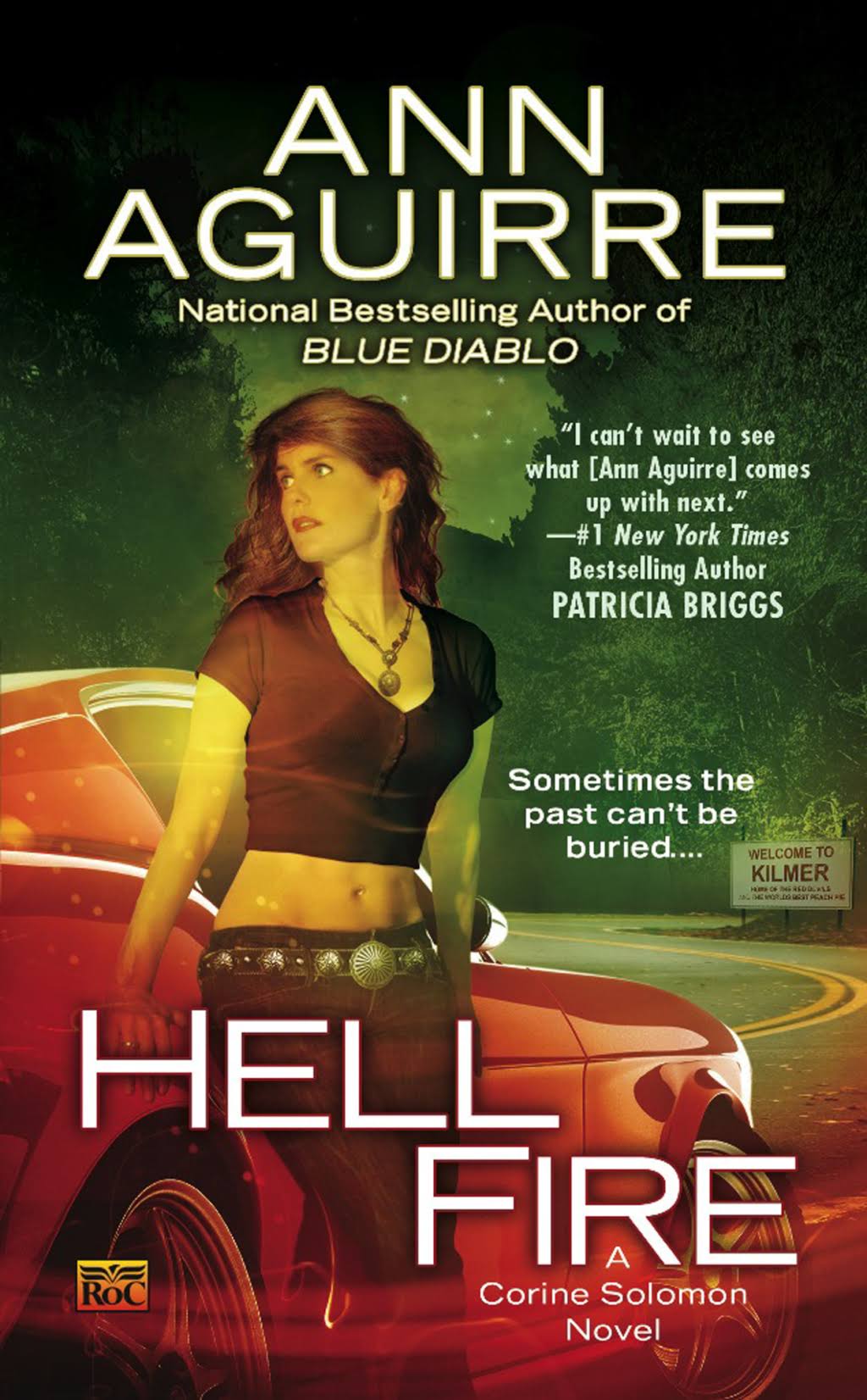 Hell Fire [Book]