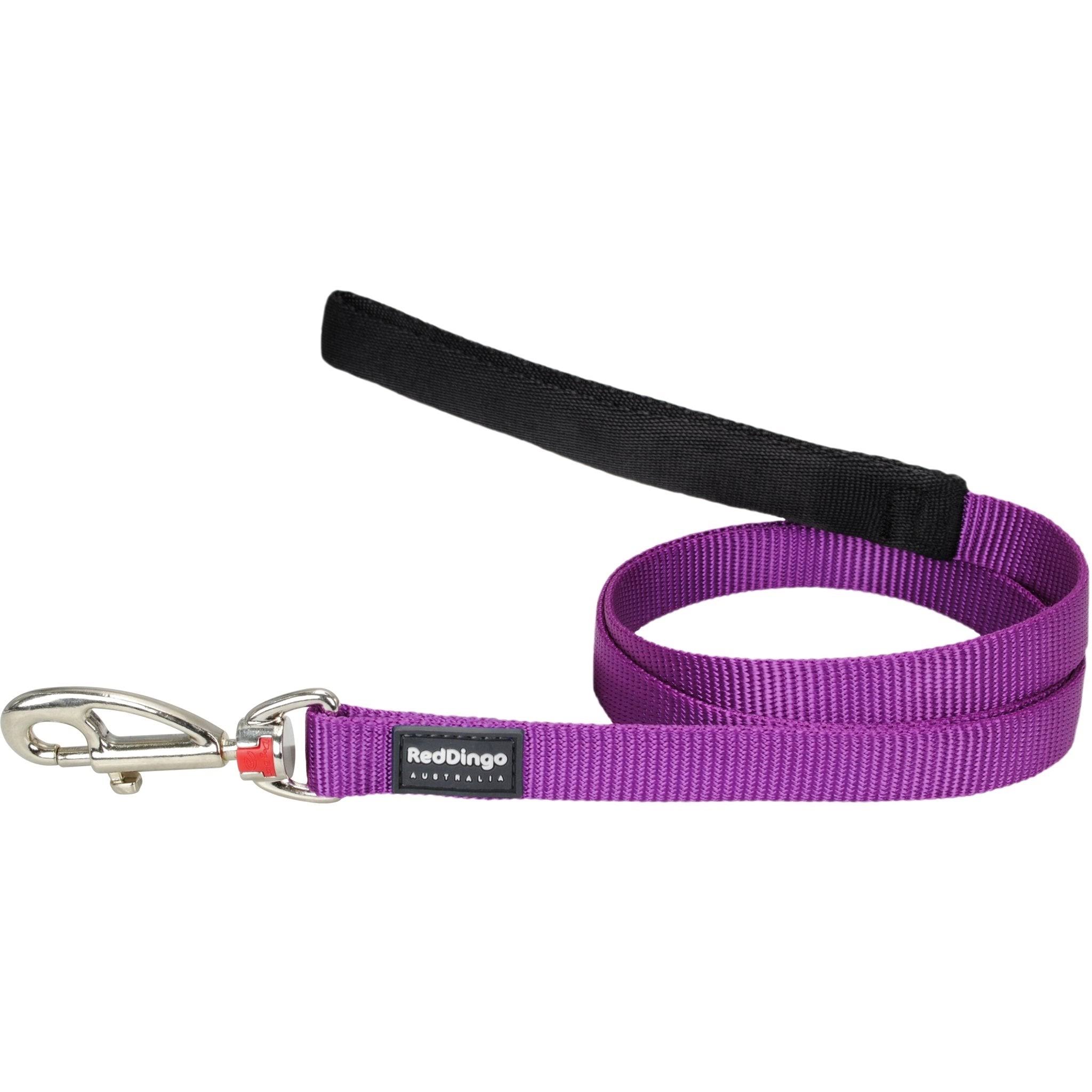 Red Dingo Classic Dog Leash - Purple, 15mm x 1.8m