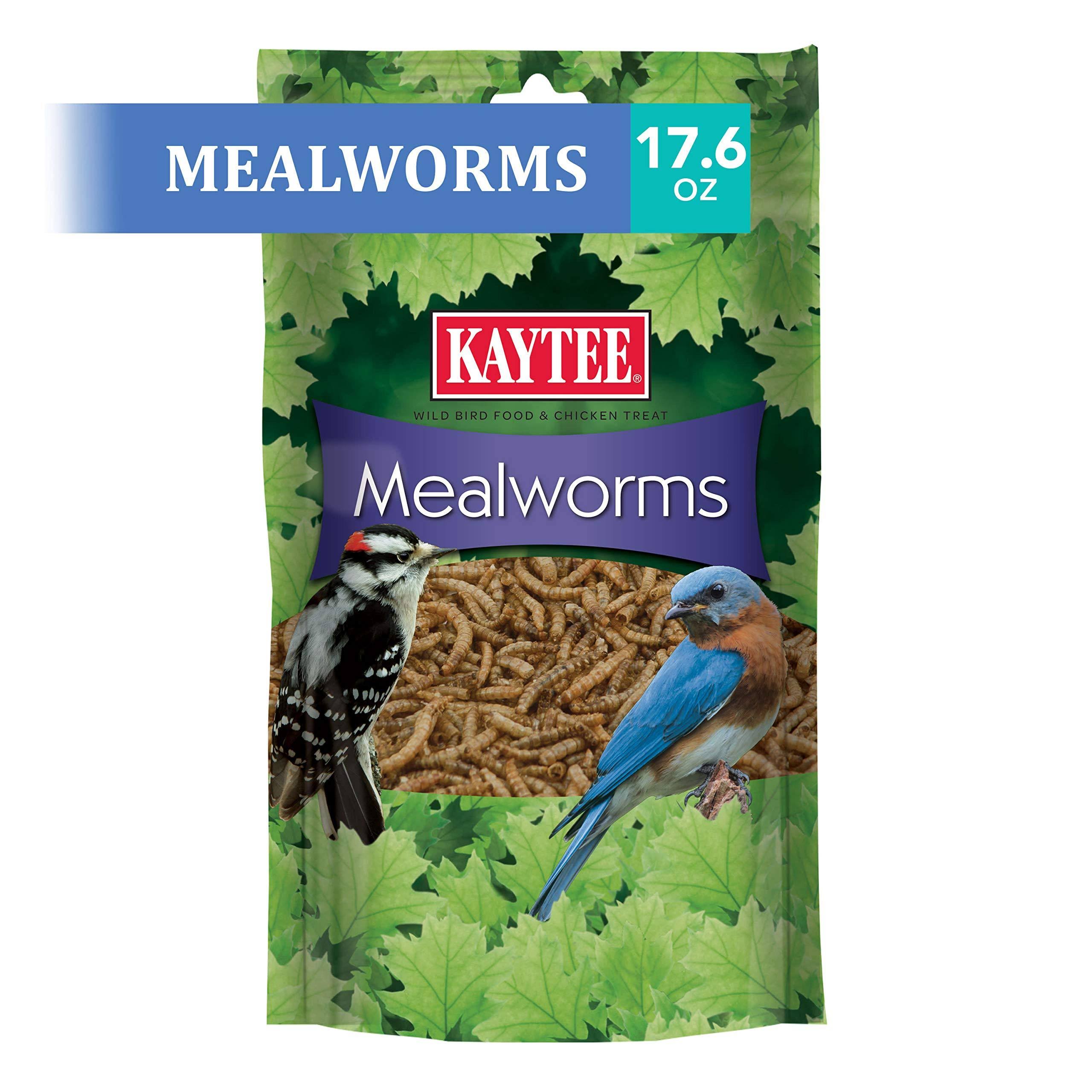 Kaytee Mealworms Wild Bird Feed - 17.6oz