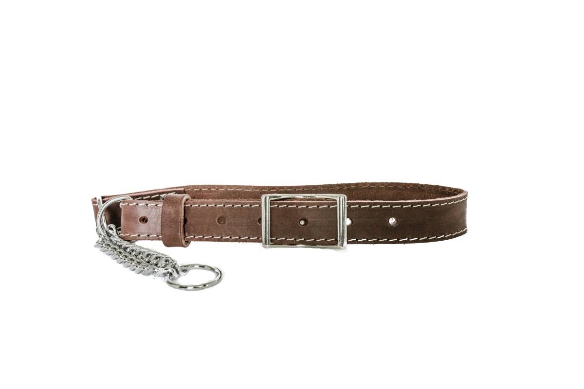 Euro Luxurious Leather Martingale Dog Collar