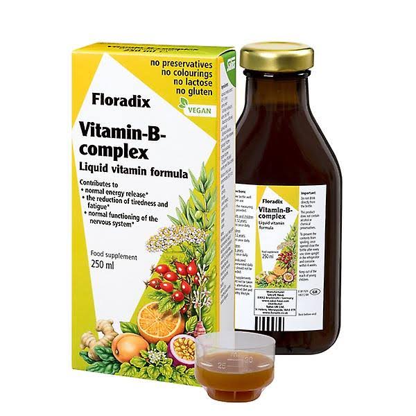 Floradix Vitamin B Complex (250 ml)