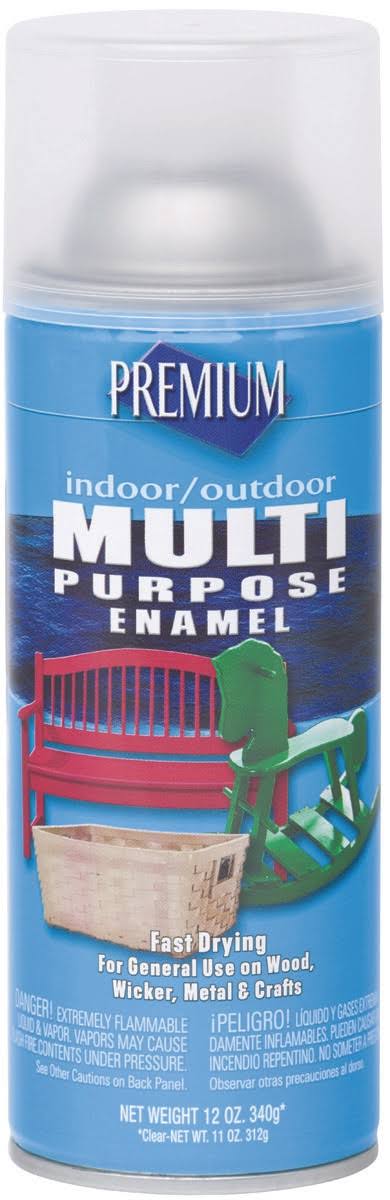 Premium Multi Purpose Spray Paint - 12oz, Clear