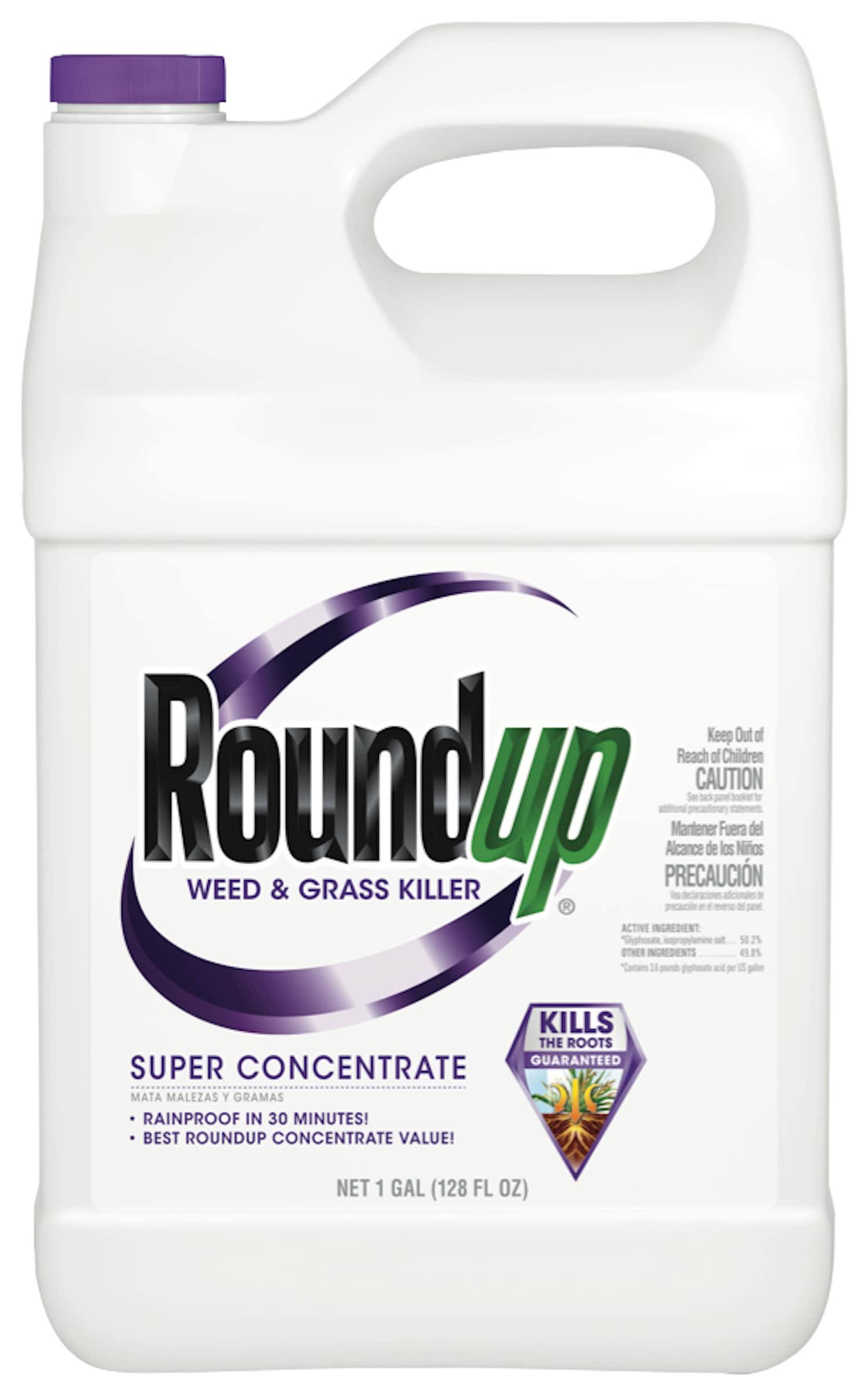 Roundup Weed and Grass Killer Super Concentrate - 1gal