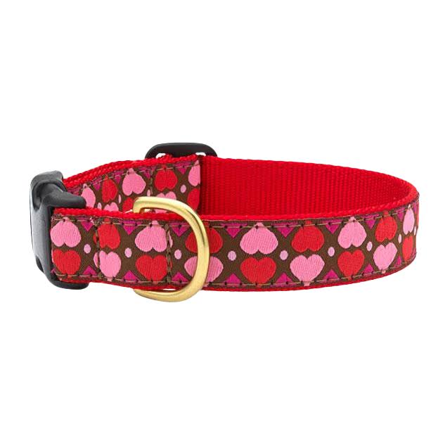 Collar | All Hearts - SM Wide