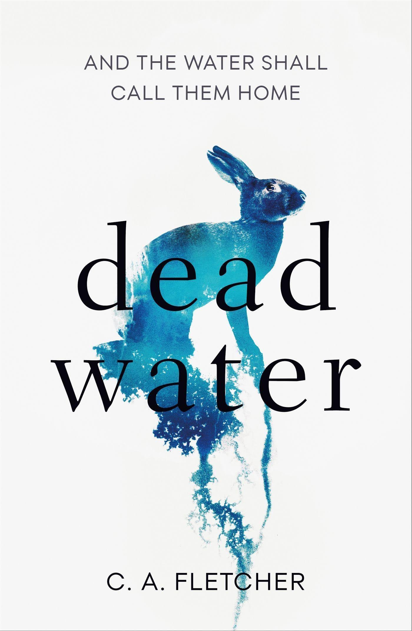 Dead Water: A Novel of Folk Horror [Book]
