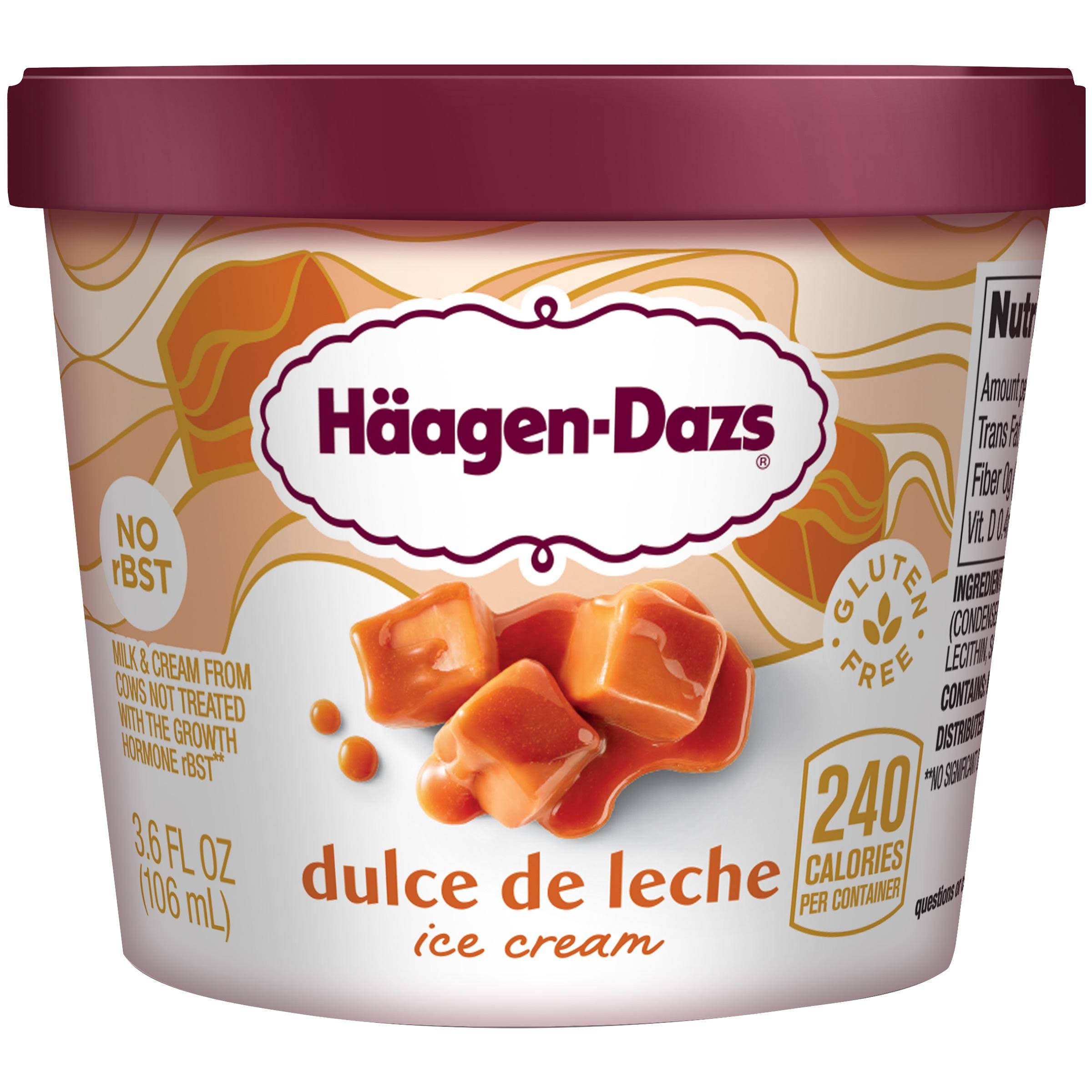 Haagen Dazs Ice Cream - Dulce De Leche, 3.6oz