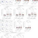 Review: Efficacy of Antiviral Agents Against Omicron Subvariant BA.2