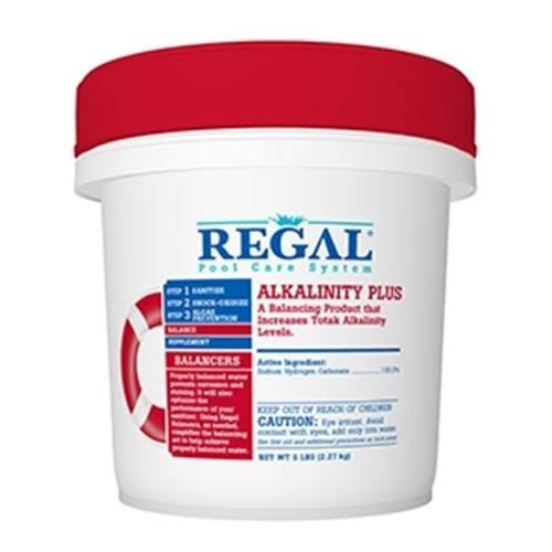 Regal 12001561 9 lbs Alkalinity Plus Chemical Balancer 4 per Case