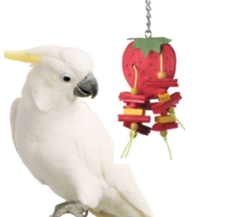 Ae cage happy beaks strawberry bird toy