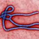 Ebola outbeak risk in SA low