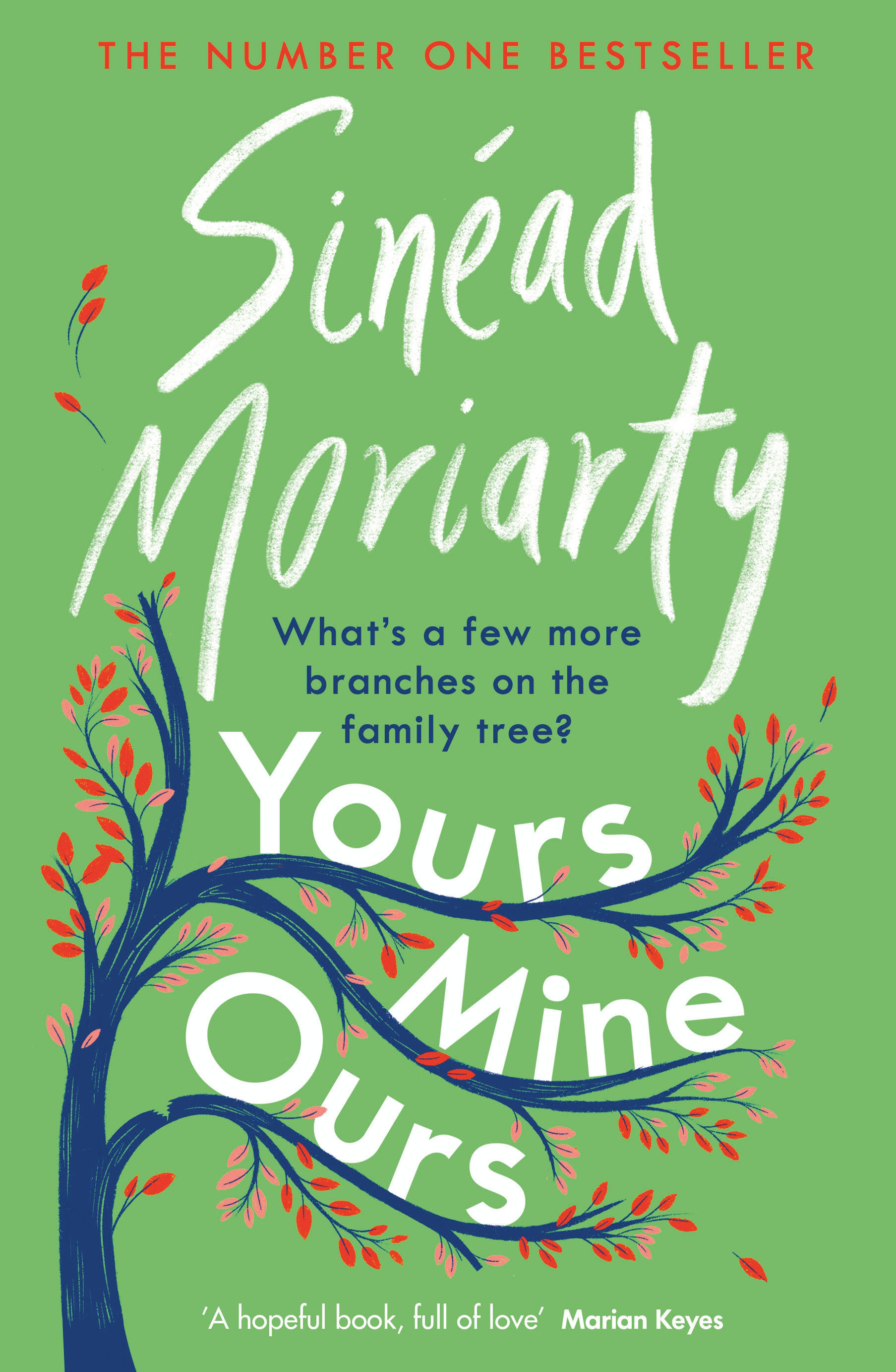 Yours, Mine, Ours Sinead Moriarty