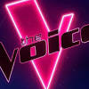 The Voice Kids: ce sublime hommage du candidat Aivan à Daniel ...