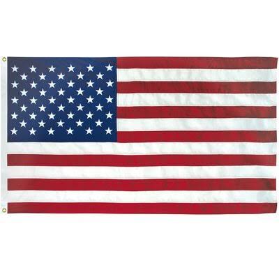 All Star Flags 4x6 Feet 2-Ply Polyester American Flag