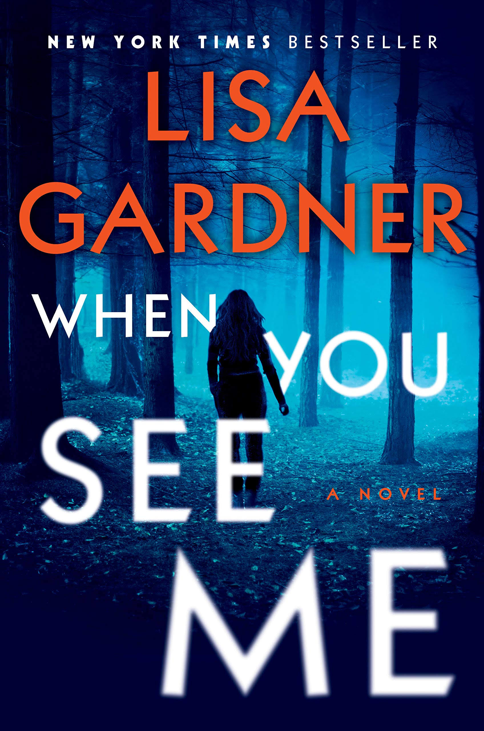 When You See Me: A Novel [Book]