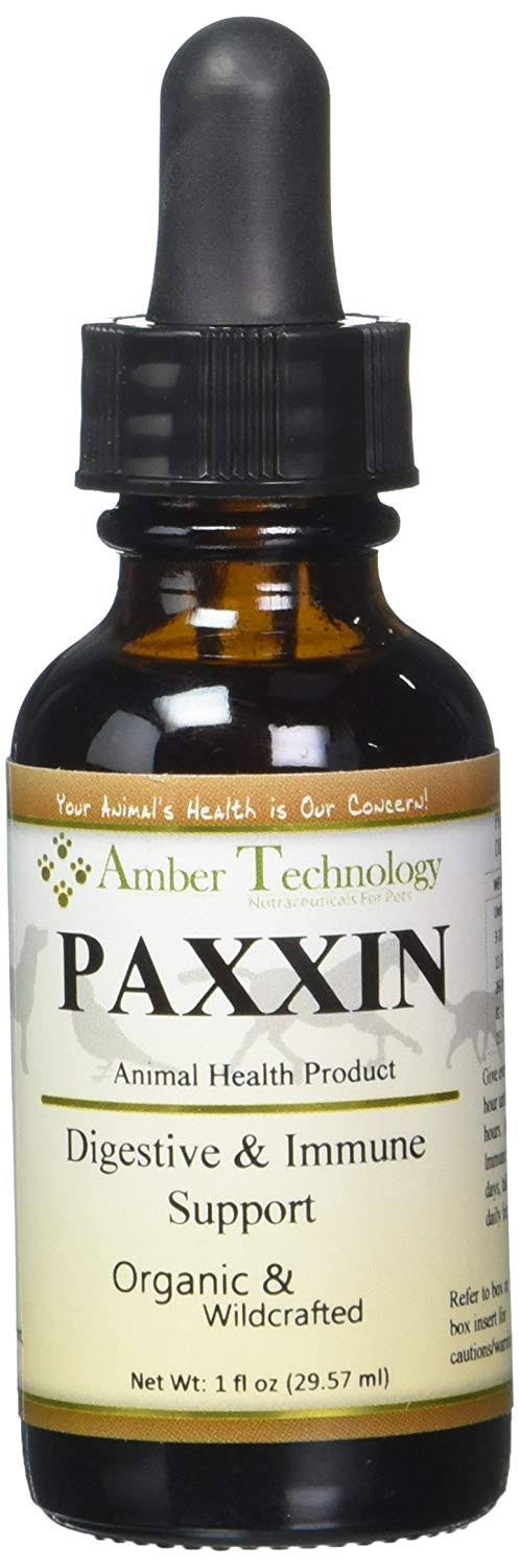 Amber Technology Paxxin Dog Digestive and Immune Support - 1oz