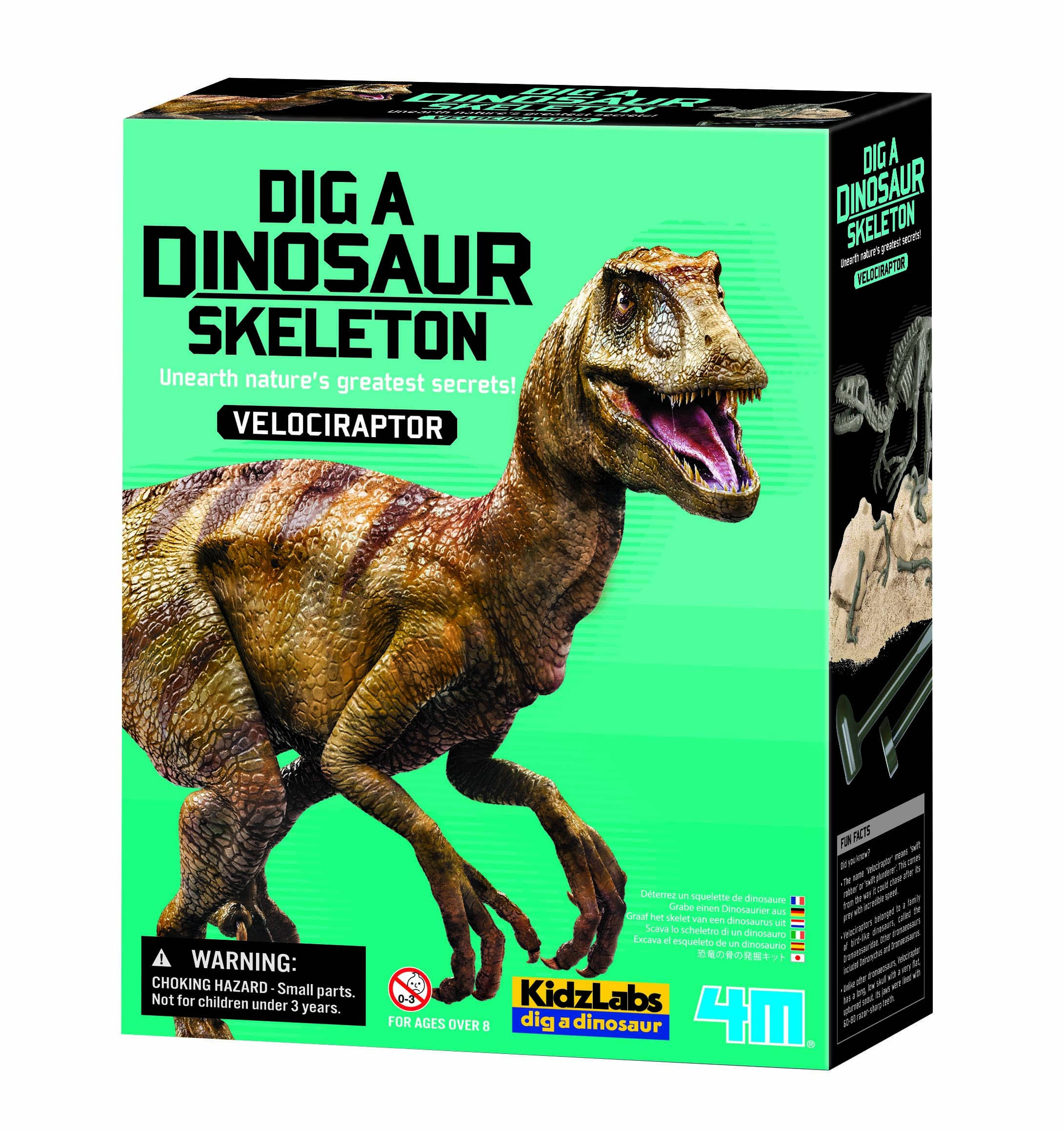 Prehistoric Dinosaur Skeleton Excavation Kit, Pterosaur