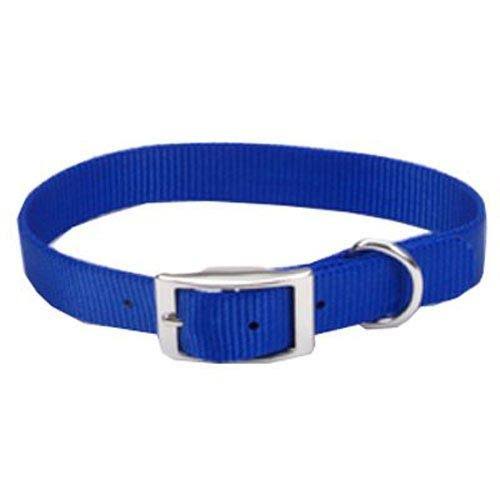 Coastal Pet 00901 B Blu18 1 x 18 in. Nylon Dog Collar - Blue