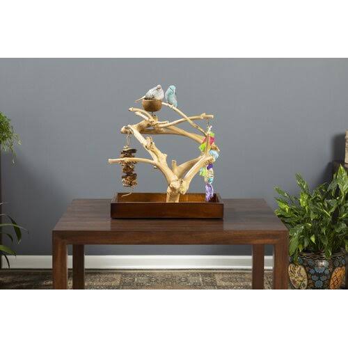 Prevue Pet Products Coffeawood Java Tree Minis Small Table Top Playstand 22633