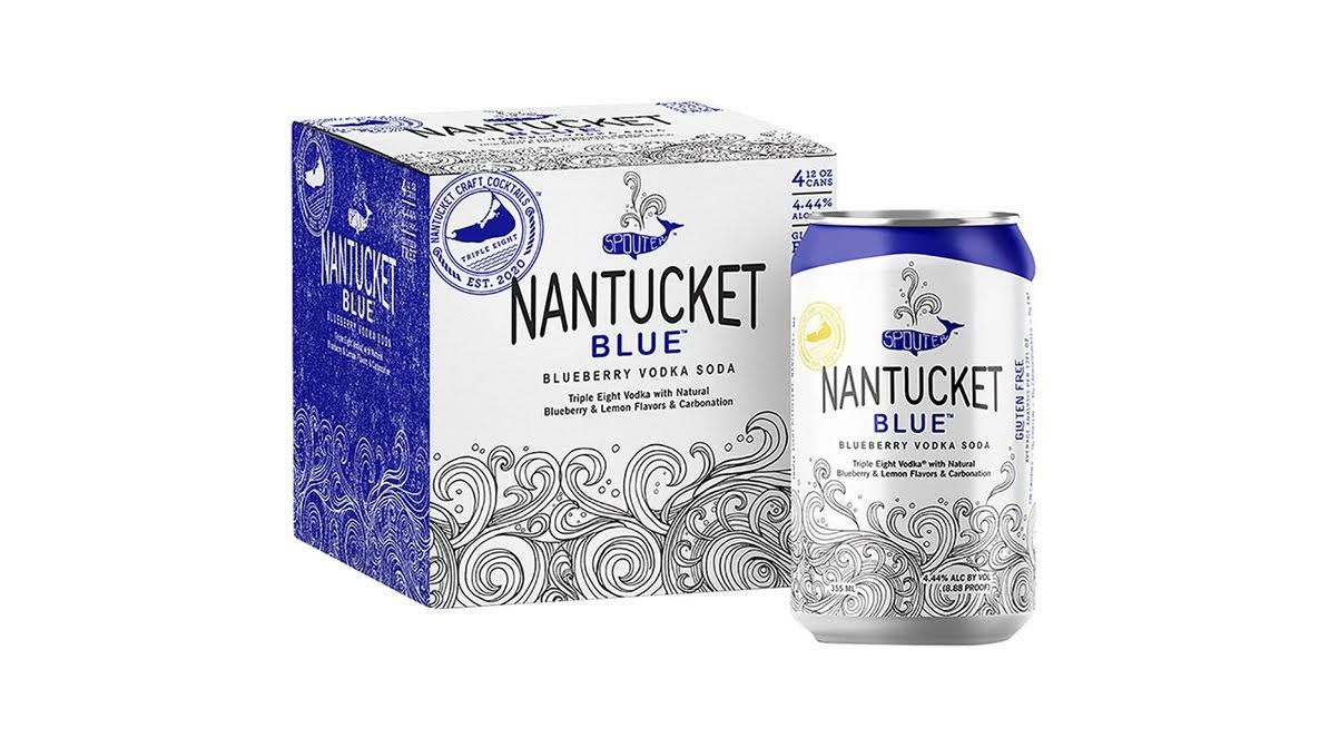 Nantucket Nectars Blueberry Lemonade Vodka Fizzy Cocktail
