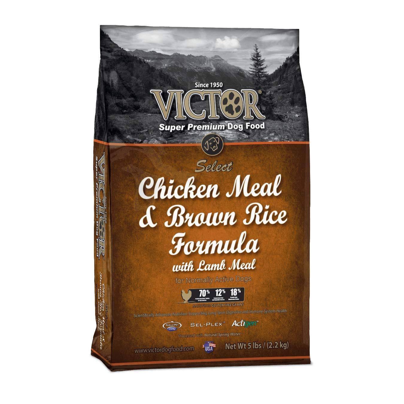 Victor Dog Food - Chicken and Brown Rice, 5L