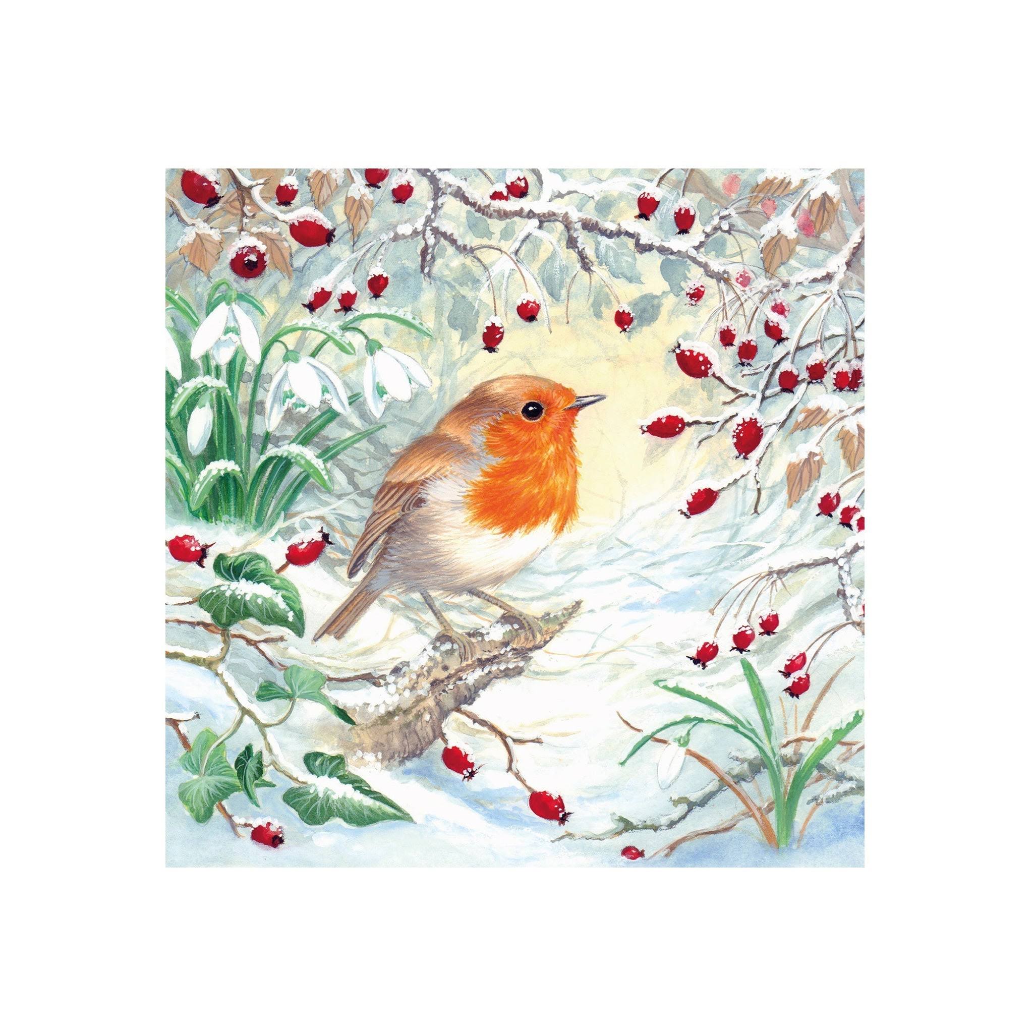Winter Robin, Pack of 8 Christmas Cards | RNLI Shop